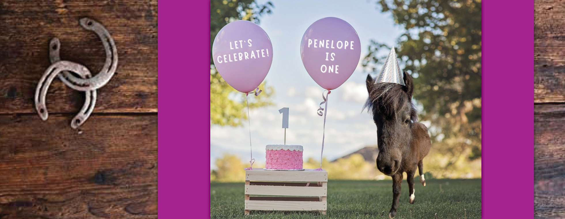 Penelope's 1st Birthday